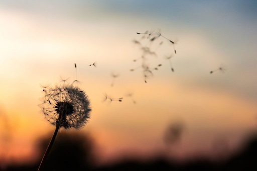Esercizio di respirazione Esercizio di meditazione: concentrazione sul respiro